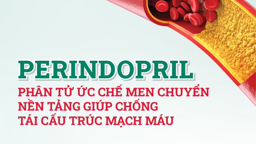 Perindopril – Phân tử Ức chế men chuyển nền tảng giúp chống tái cấu trúc mạch máu